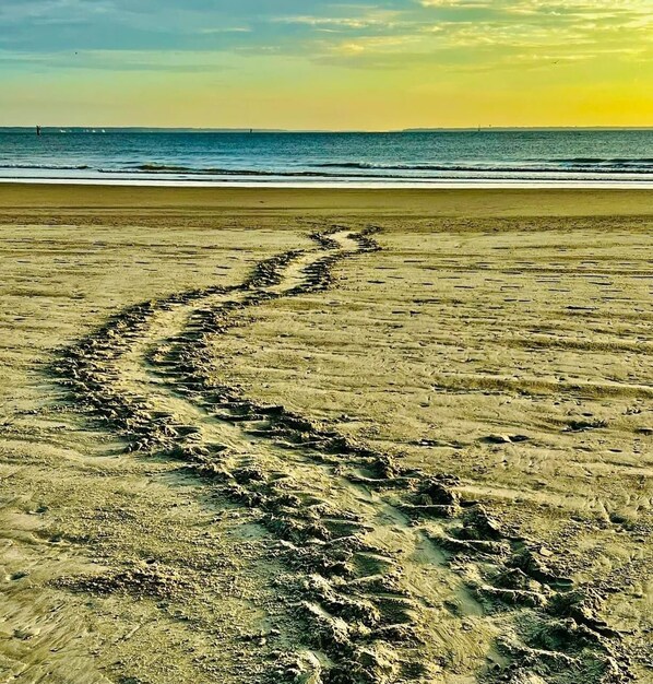 On the beach, sun loungers, beach towels - 20 Steps 'till Toes in the Sand with Private Beach Access (Tybee Island)