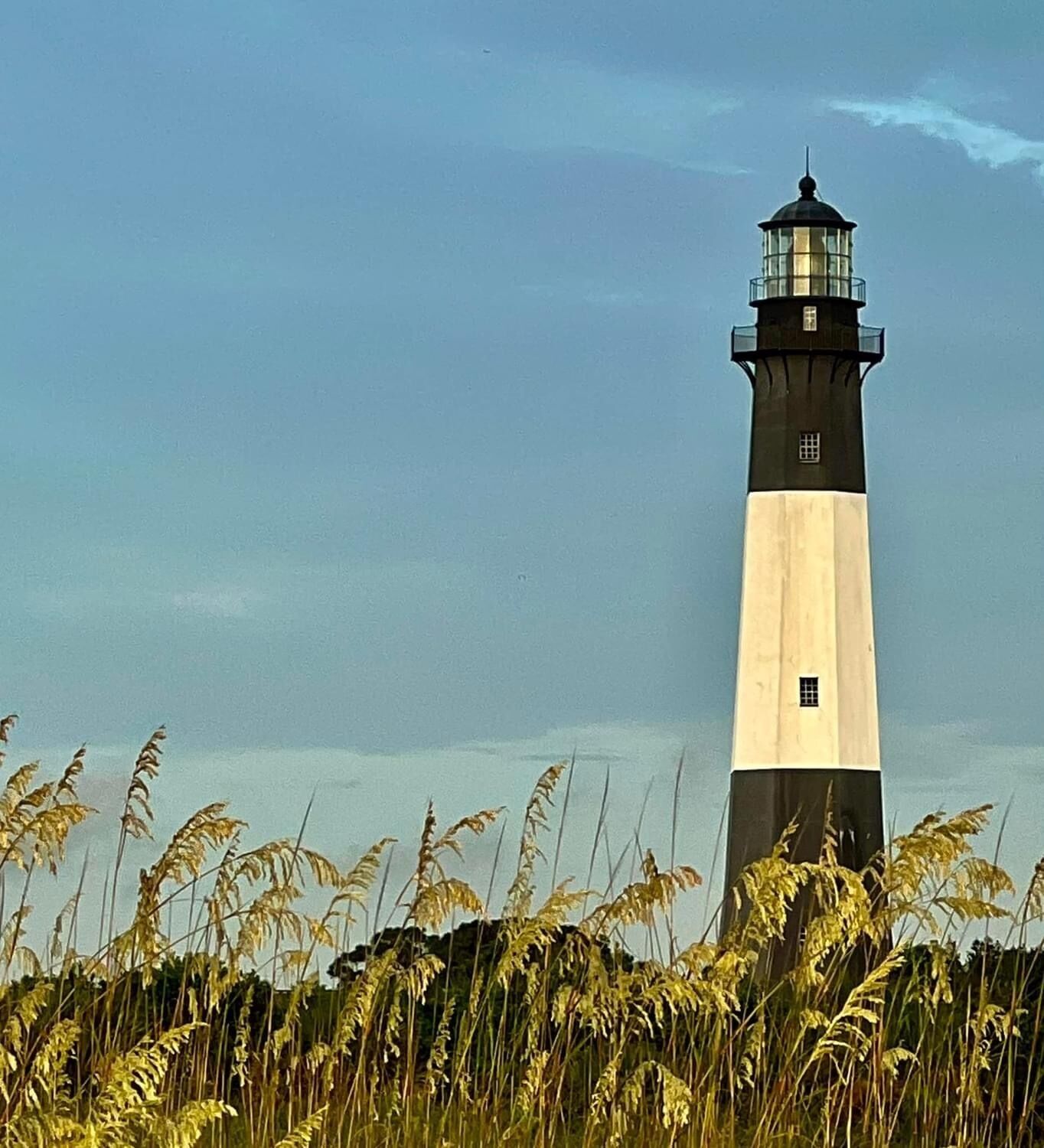 A lighthouse with a black and white striped tower, surrounded by tall grasses.