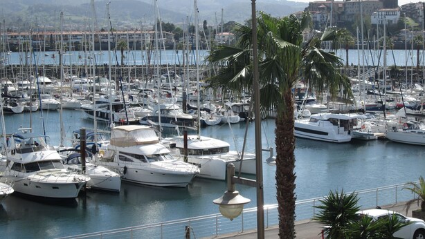 Un puerto deportivo lleno de barcos, rodeado de edificios y palmeras.