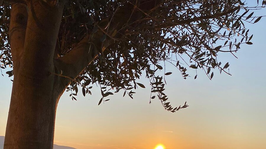 Belvedere Hotel & SPA