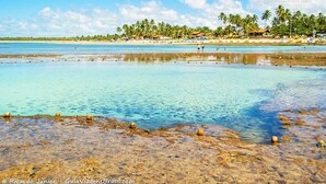 A beach with clear water, palm trees, and a sandy shore. - Pousada Farol do Porto  (Ipojuca)