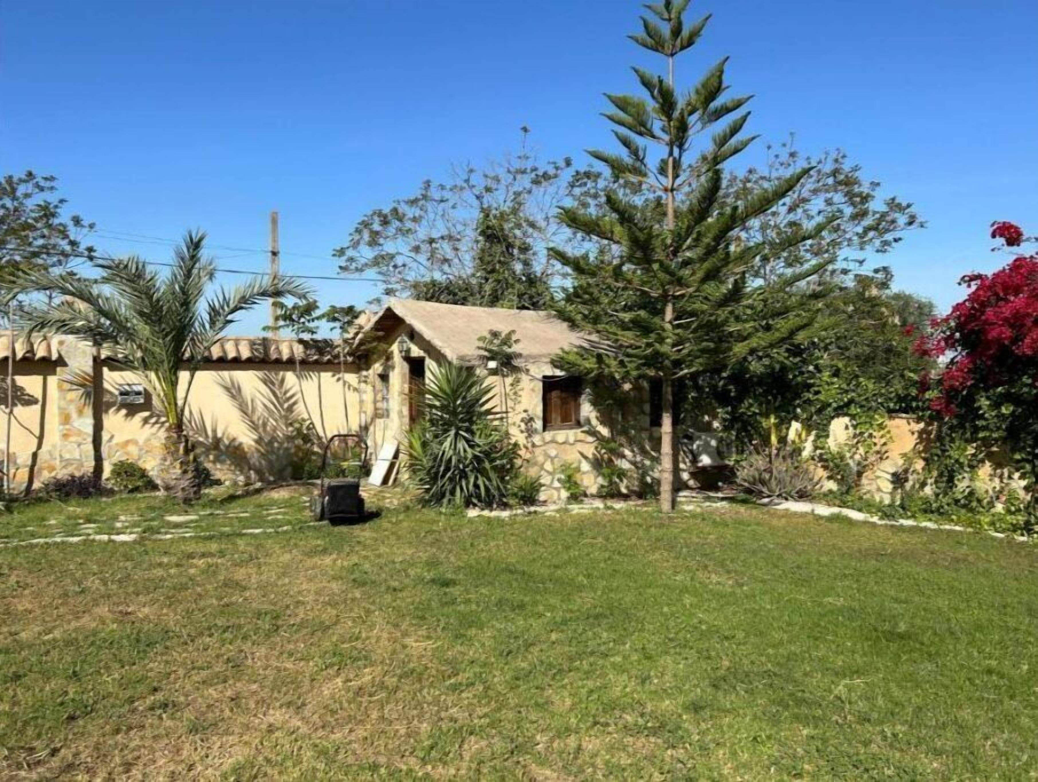 A house with a thatched roof, surrounded by a well-maintained lawn and various plants.