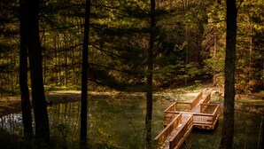 A wooden bridge over a calm body of water surrounded by dense forest. - Log Cabin Hot Tub Getaway (Walhonding)