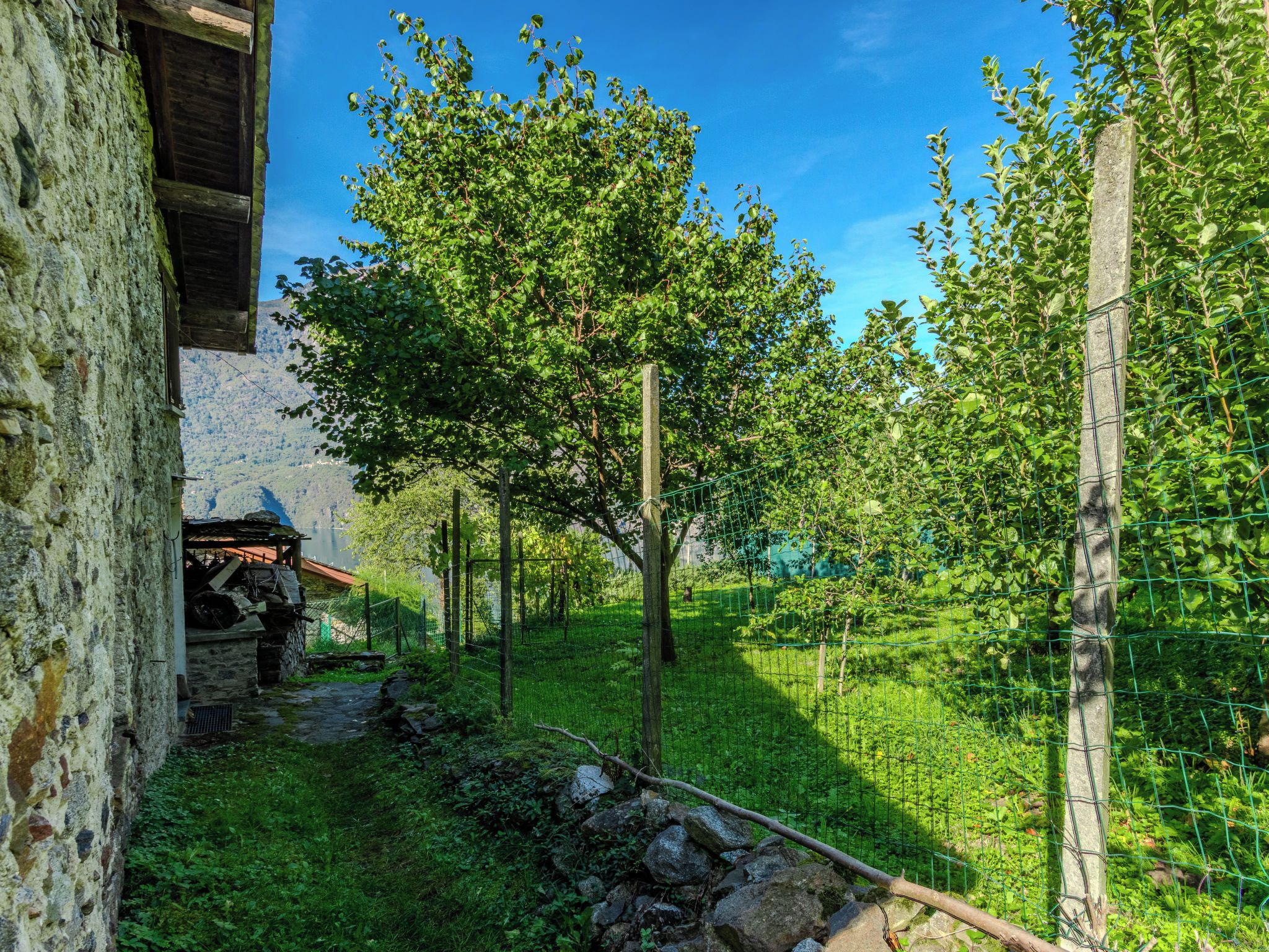 Un bâtiment rustique en pierre, auquel est adossée une structure en bois, le tout entouré d’une végétation luxuriante et surplombé d’un ciel bleu clair.