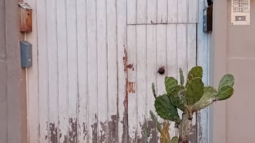 DĂ©tail de lâextĂ©rieur