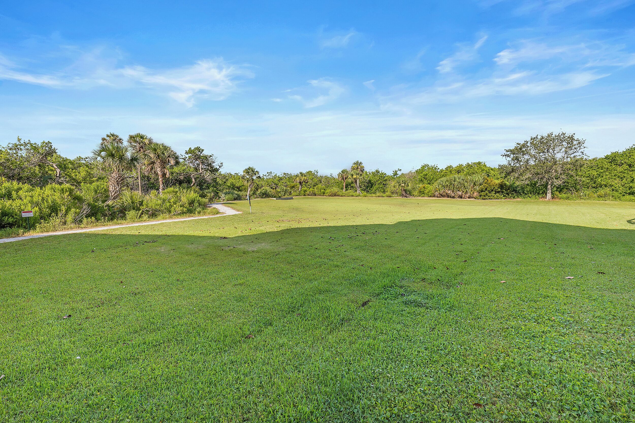 A grassy field with a path and trees in the background.