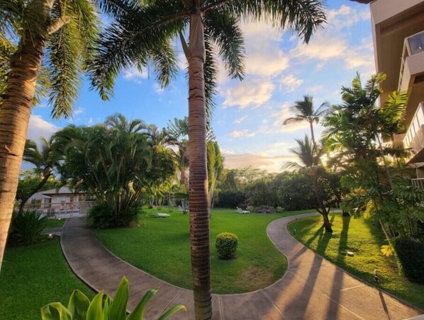 A landscaped garden with palm trees, a curved pathway, and a building in the background.