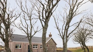Une maison en bois avec une extension en pierre, entourée d’arbres et bordée d’une allée gravillonnée.