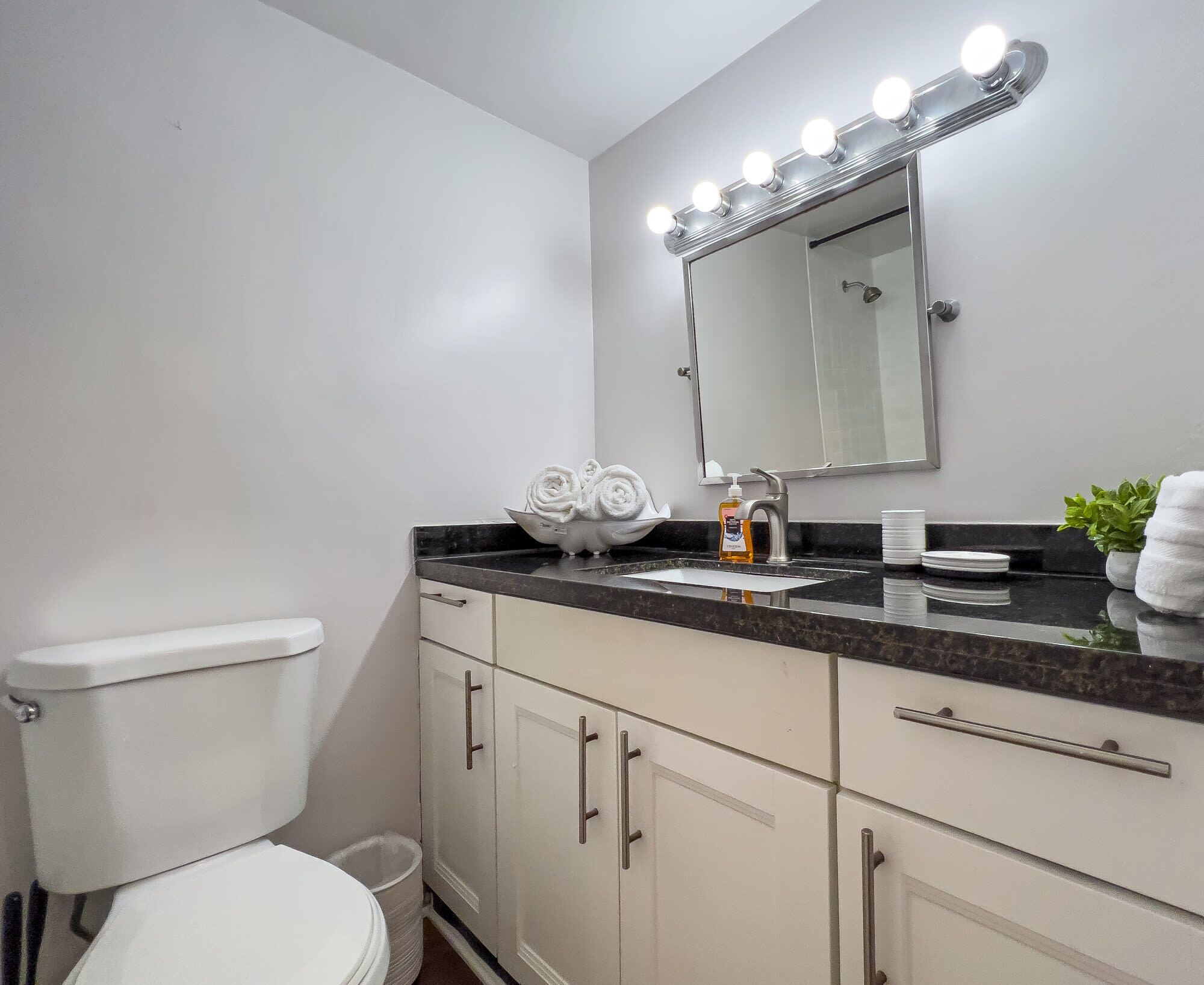 A bathroom with a toilet, sink, vanity with cabinets, a mirror with lights, and a potted plant.