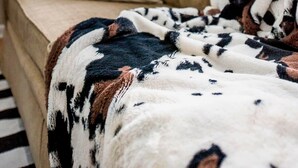 A cozy room with a beige sofa, a patterned throw blanket, and a white lamp.