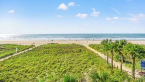 Une plage avec une zone herbeuse, des palmiers et un sentier menant à la plage.