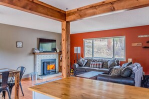 Älytelevisio, takka, videopelejä, kirjoja