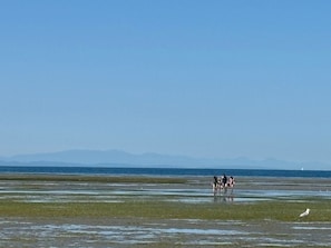 Sulla spiaggia, lettini da mare, teli da spiaggia
