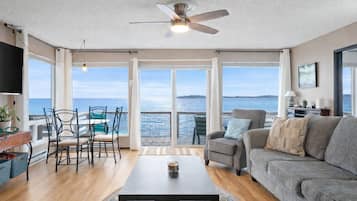 Smart TV, chimenea y libros