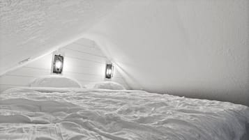 1 chambre, fer et planche à repasser, Wi-Fi, literie fournie