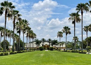 A well-maintained lawn with tall palm trees and a building with a beige facade in the background.