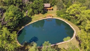 Una casa con piscina rodeada de abundante vegetación.