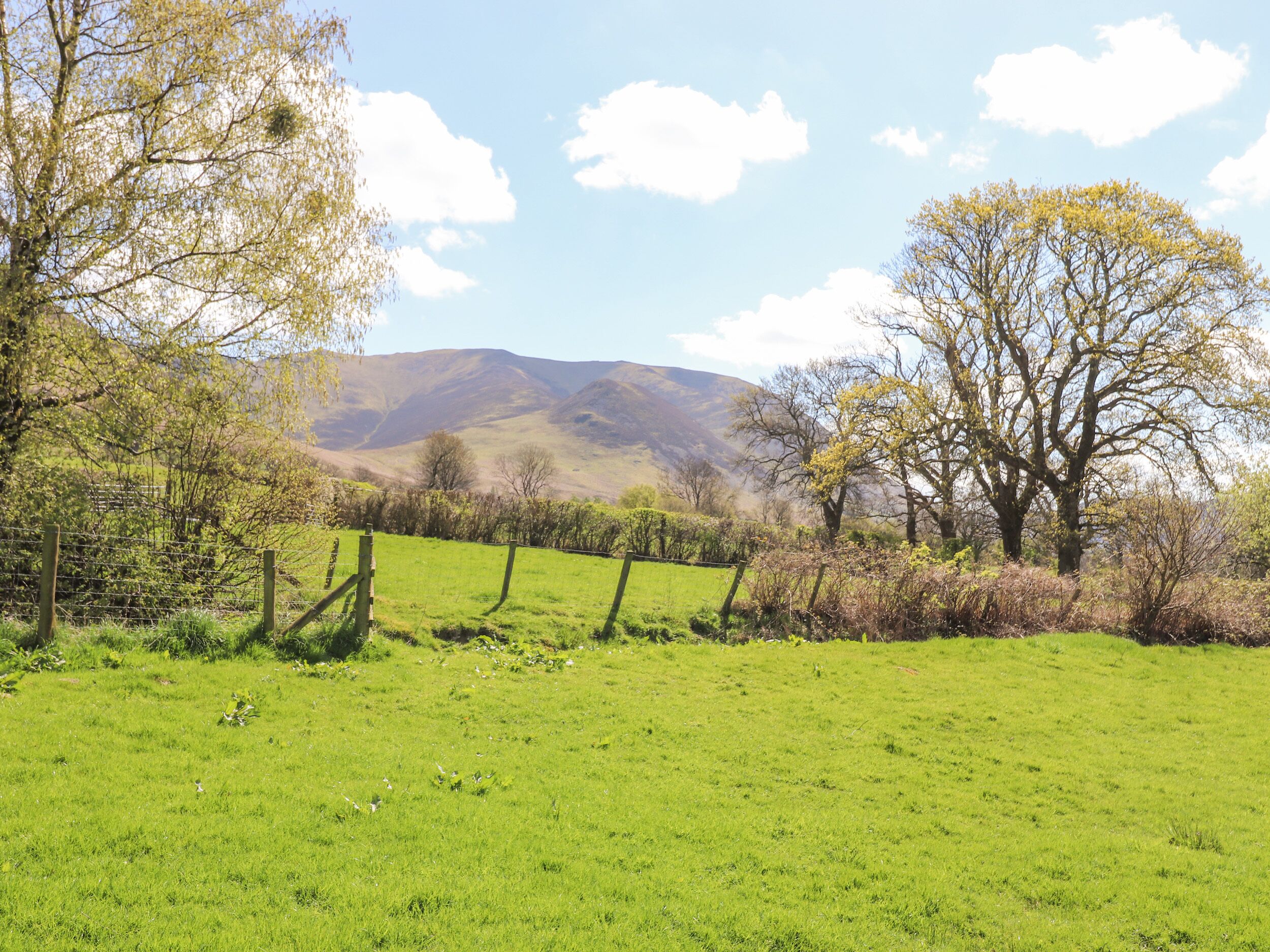 A grassy field with a wooden fence and trees, leading to a mountain range under a clear sky.