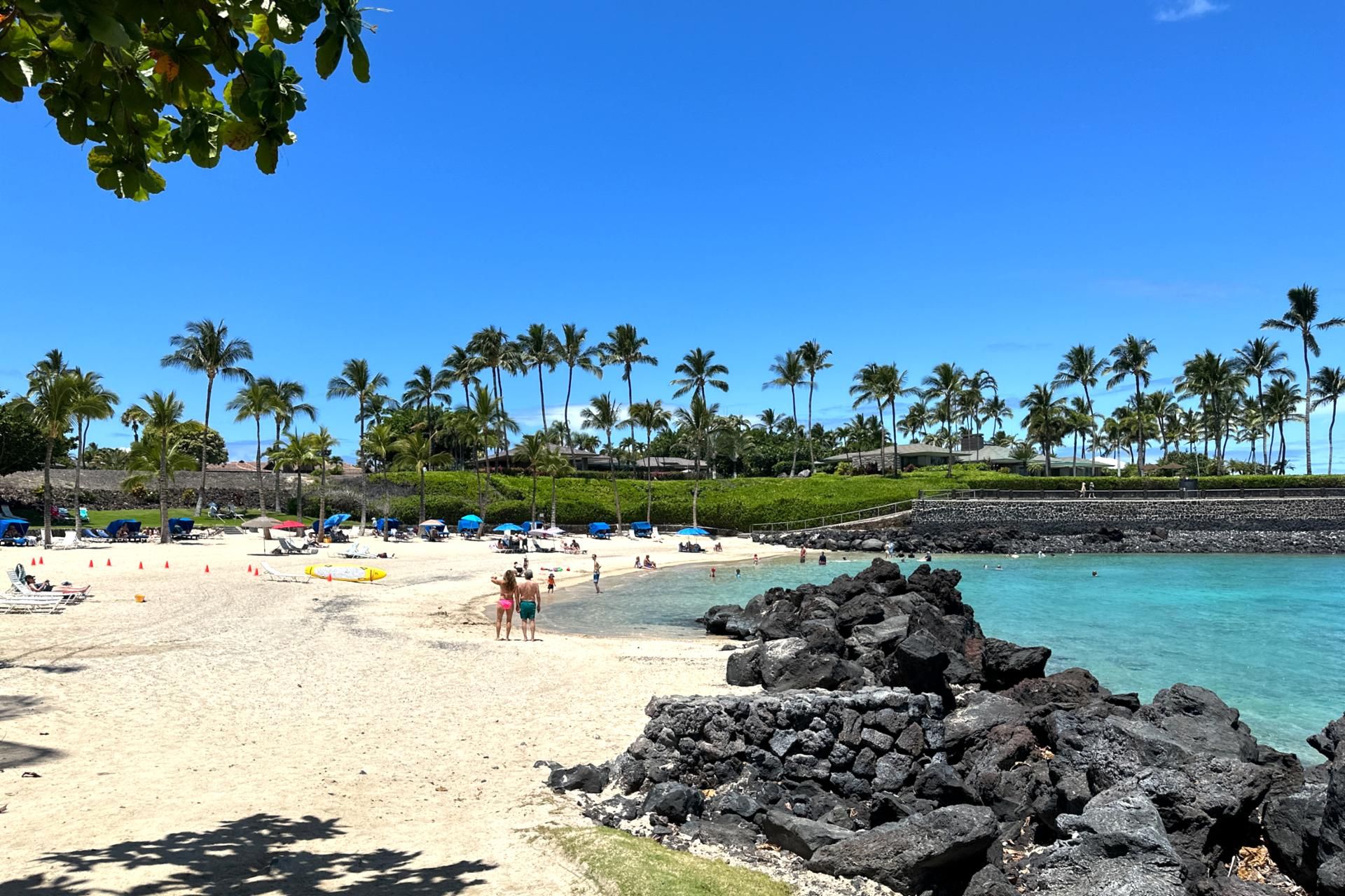 A beach with a rocky shoreline, palm trees, and beach umbrellas.
