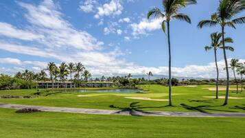 Un campo de golf con palmeras, un estanque y un edificio al fondo.