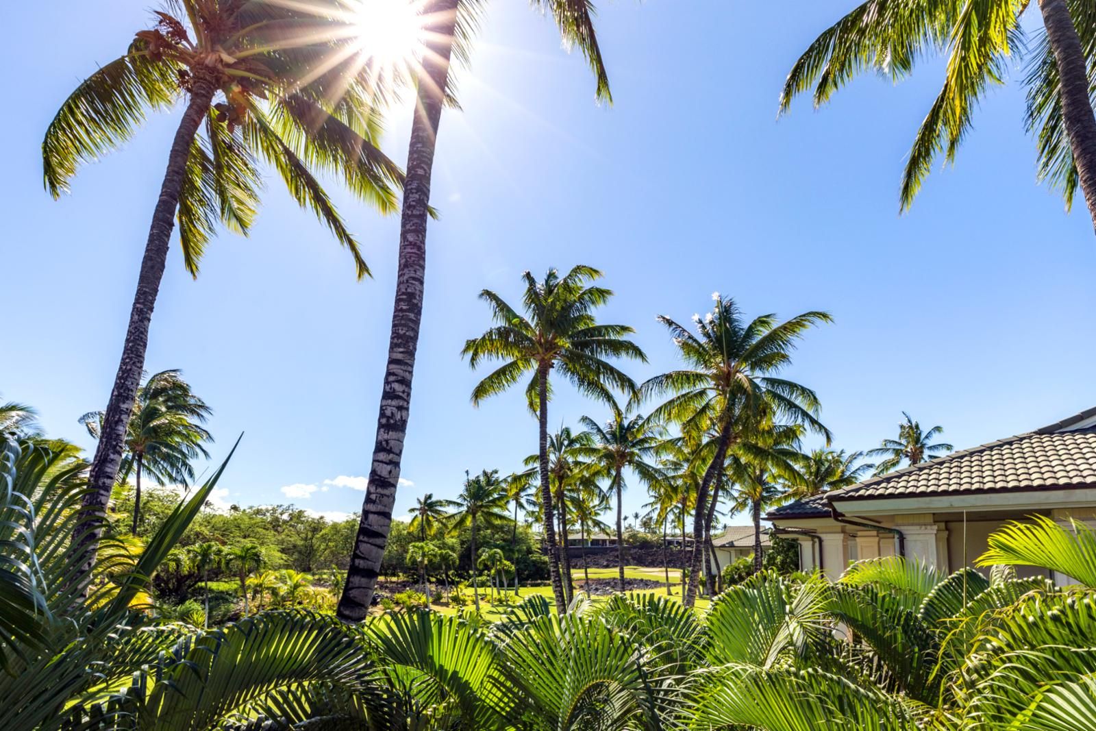 A tropical resort with palm trees and a building with a tiled roof.