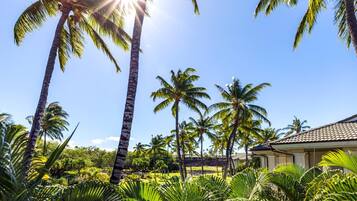 A tropical resort with palm trees and a building with a tiled roof.