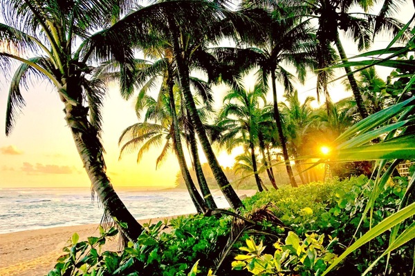 Gorgeous nearby beach with swaying palms and white sands - perfect bliss! IML-E4