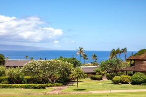 A coastal view with a pathway, palm trees, and a building with a sloped roof.