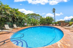 Ein runder Pool mit einer gefliesten Kante, umgeben von Liegestühlen und Palmen.
