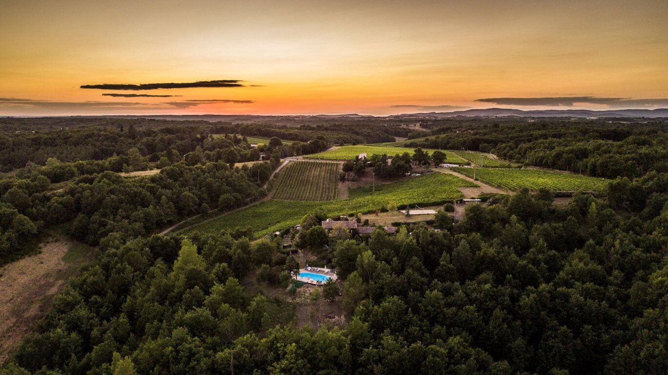 An aerial view of a vineyard with rows of grapevines, a swimming pool, and a rustic building.