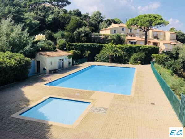 Una piscina rectangular con solárium empavedado, rodeada de vegetación y un edificio al fondo.
