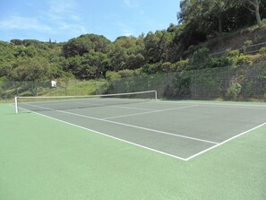 Sports court