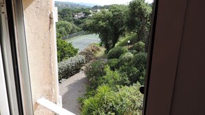 Vista a través de una ventana de una cancha de tenis rodeada de abundante vegetación y árboles.