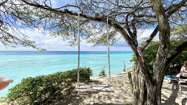Blick auf einen Strand mit einer Schaukel, einem Kaktus und einer Bank.