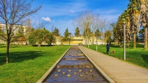 A park with a water feature, a wooden pathway, and trees.
