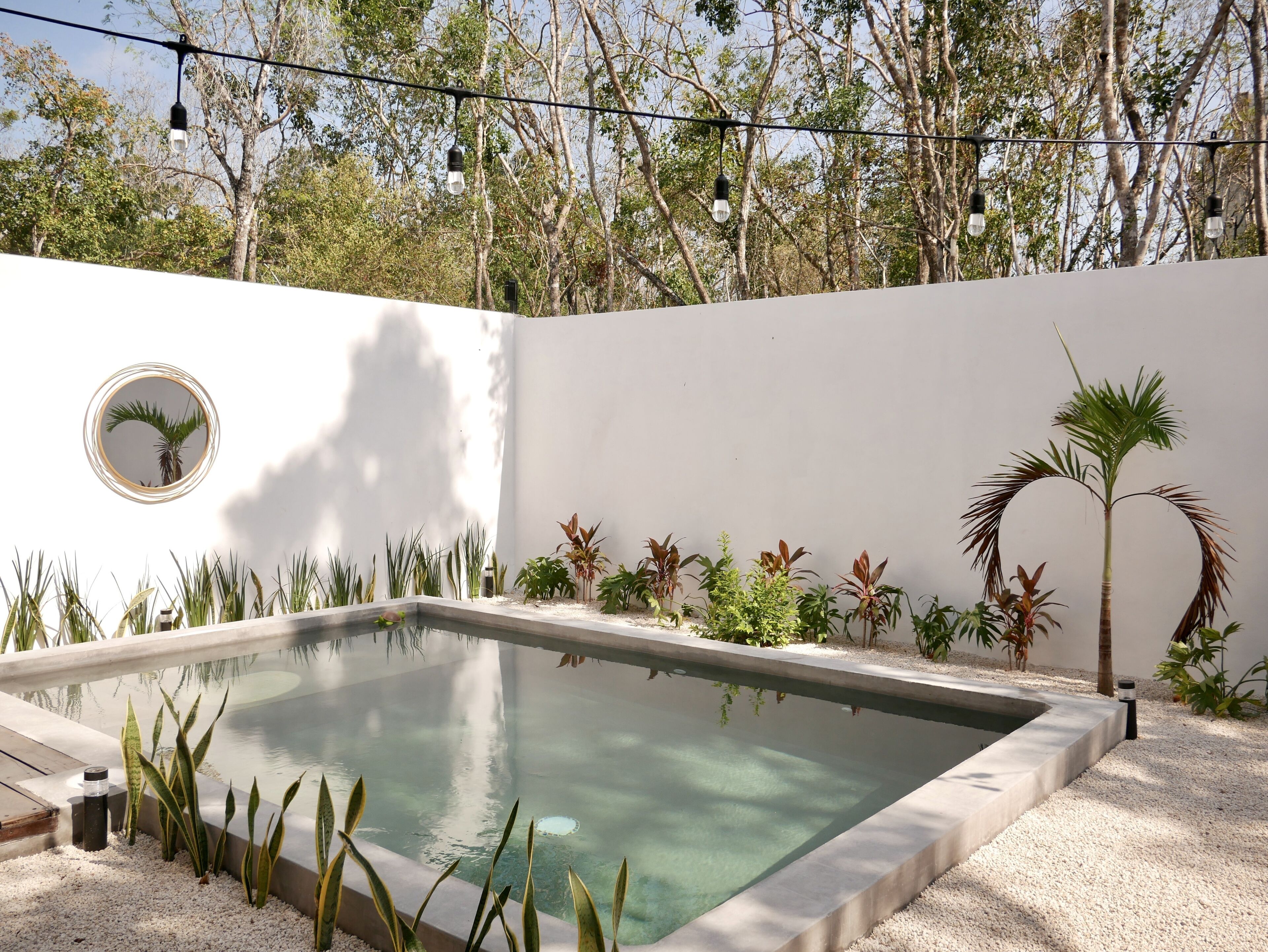 Jungle Oasis with private pool