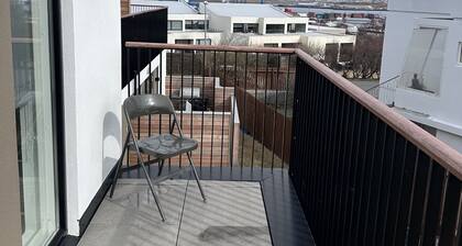 Beautifull aparment in Laugardalur Reykjavík