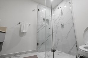 Douche, séchoir à cheveux, serviettes fournies, savon
