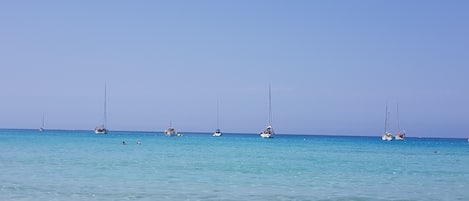 Playa en los alrededores