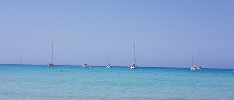 Una playa cerca