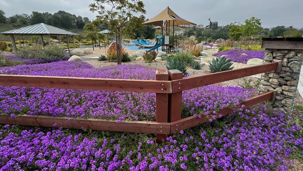 A playground with slides and a pavilion, surrounded by purple flowers and rocks.