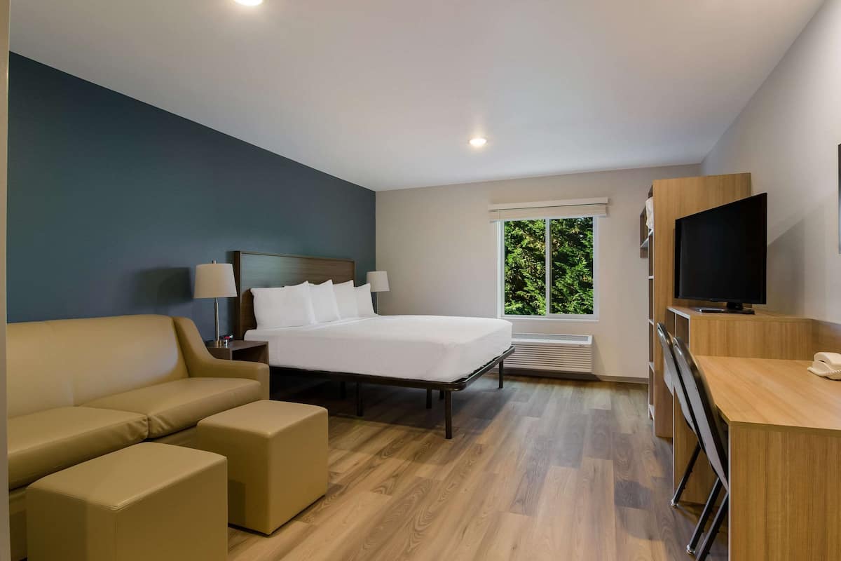 A modern hotel room with a bed, a sofa, a desk, and a television.