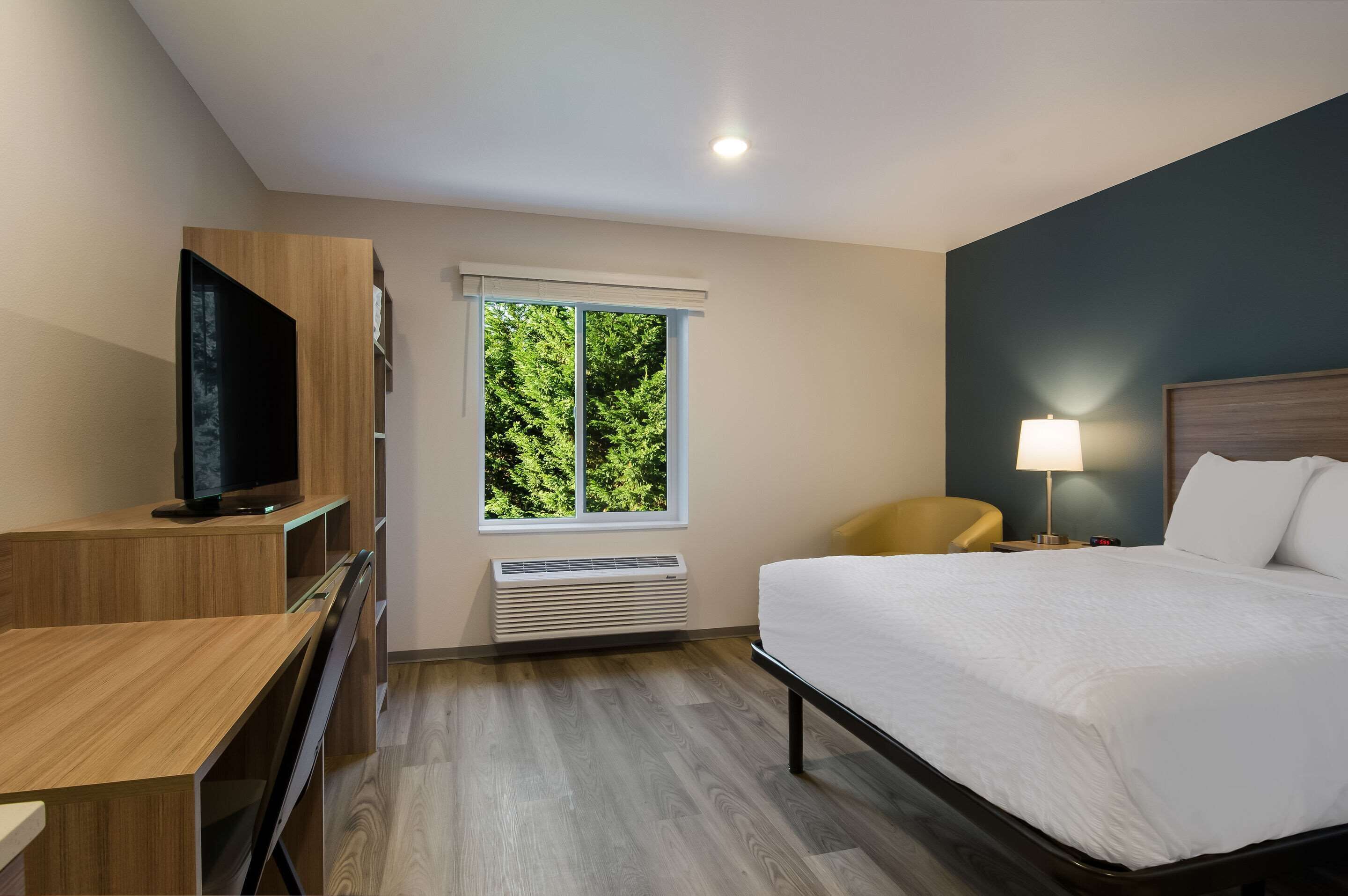 A hotel room with a bed, a desk, a television, a window with a view of trees, and a lamp.