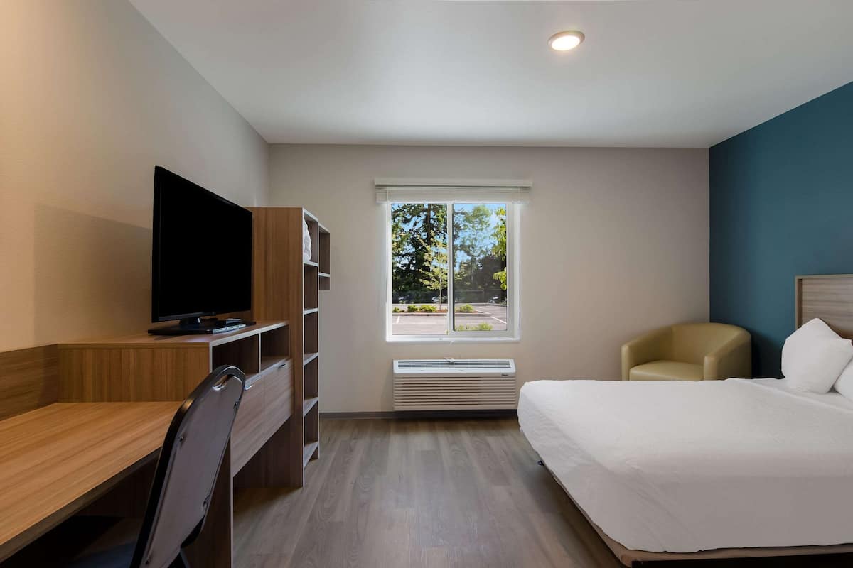 A hotel room with a bed, a desk with a TV, a chair, a window with a view of trees, and a heater.