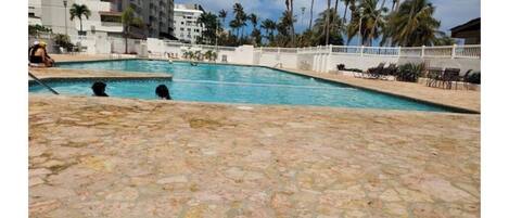 A swimming pool with stone flooring, surrounded by palm trees and a white fence.