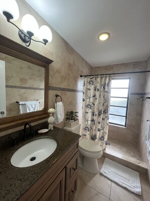 Un baño con lavamanos, inodoro y zona de ducha.