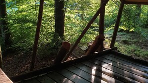 Una terraza de madera con vista a un bosque.
