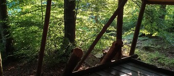 Timmerkoja på Österlen