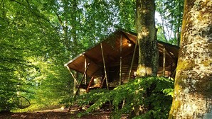 Una cabaña de madera rústica en un área boscosa, con un sendero de tierra que conduce hasta ella.