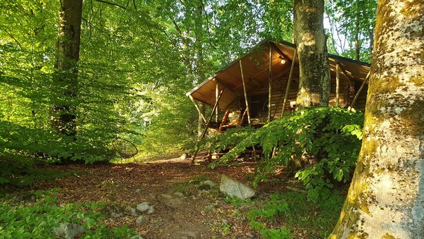 Una construcción rústica de madera en un área boscosa, con un sendero de tierra que la lleva.